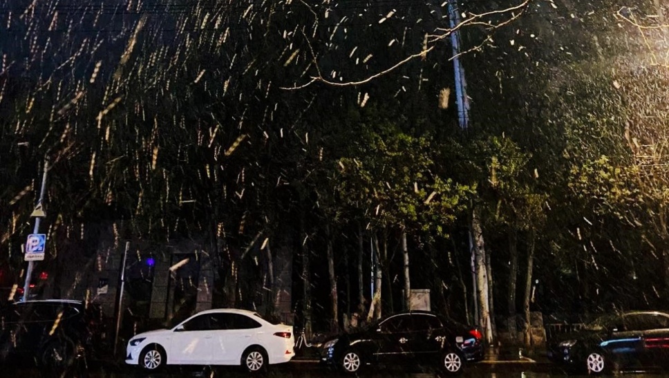 寒潮预警，“速冻”开启！辽宁迎来“下半年以来最强冷空气”