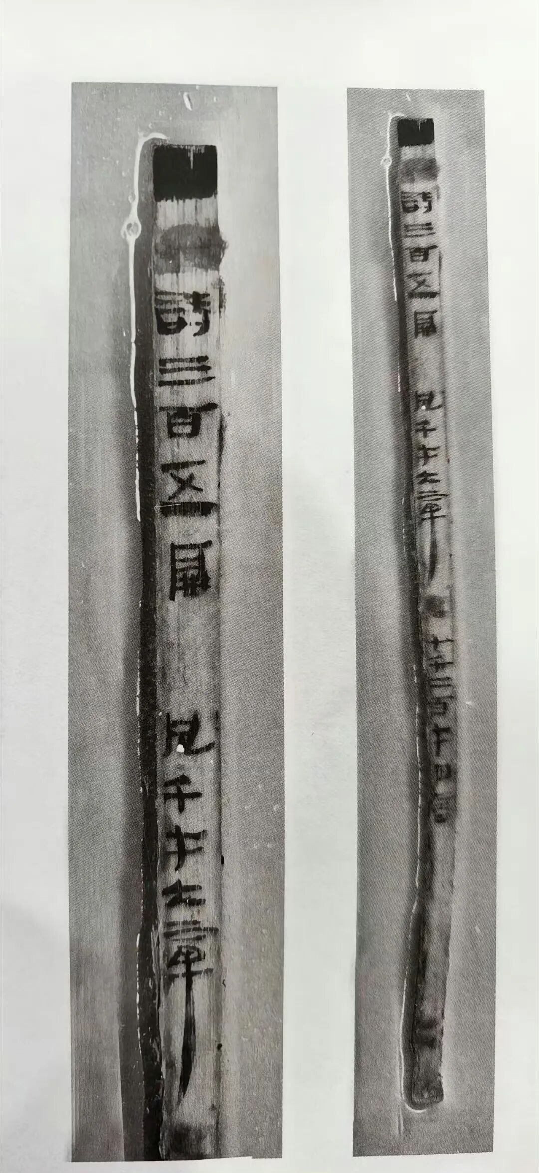 《诗经》更新了?文科生的天先别塌,海昏侯墓考古发掘领队这样说……