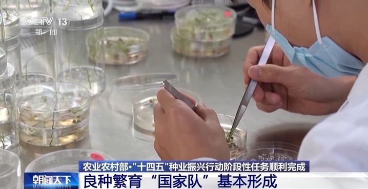 我国“十四五”种业振兴行动阶段性任务顺利完成