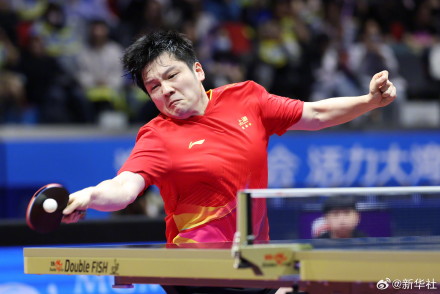 樊振东全运会金牌