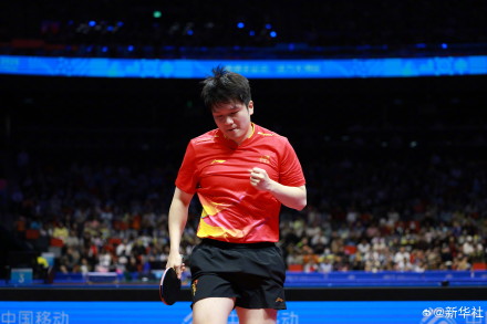 樊振东全运会金牌