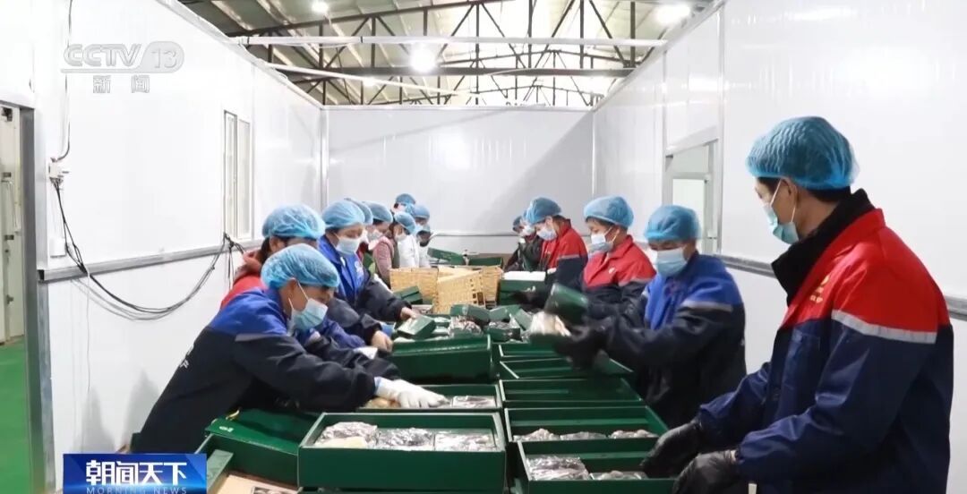 从“外出务工”到“就近就业” 农民工就业渠道更加多元