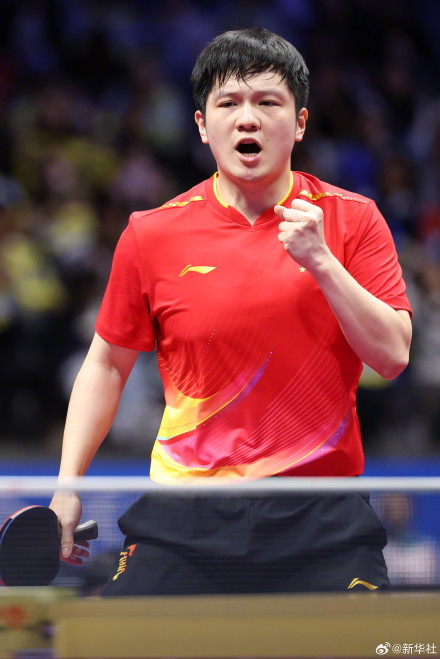 樊振东全运会金牌