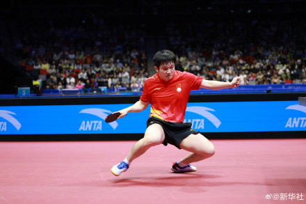 樊振东全运会金牌