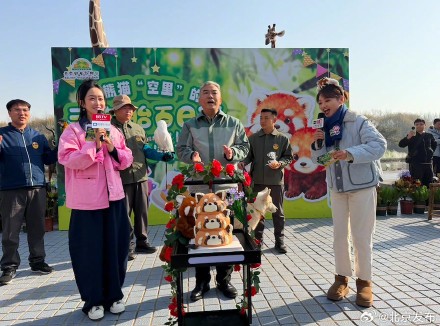 萌宝亮相！北京野生动物园上演小熊猫三胞胎百日宴