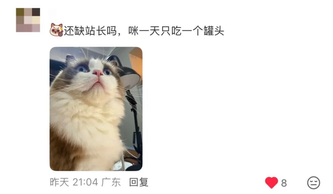 猫咪溜进深圳地铁！车站正紧急寻找主人