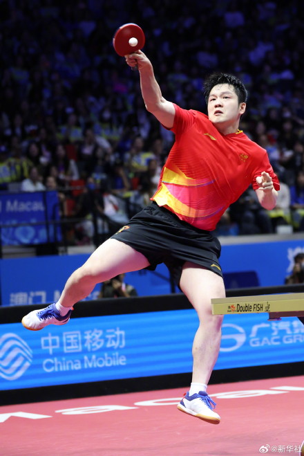 樊振东全运会金牌
