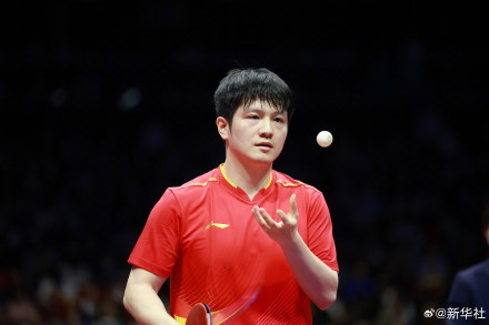 樊振东全运会金牌