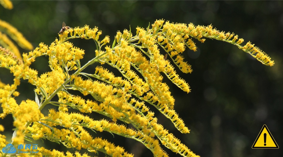 上海多区出现!紧急提醒:看到立即上报 上海多区出现!紧急提醒:看到立即上报