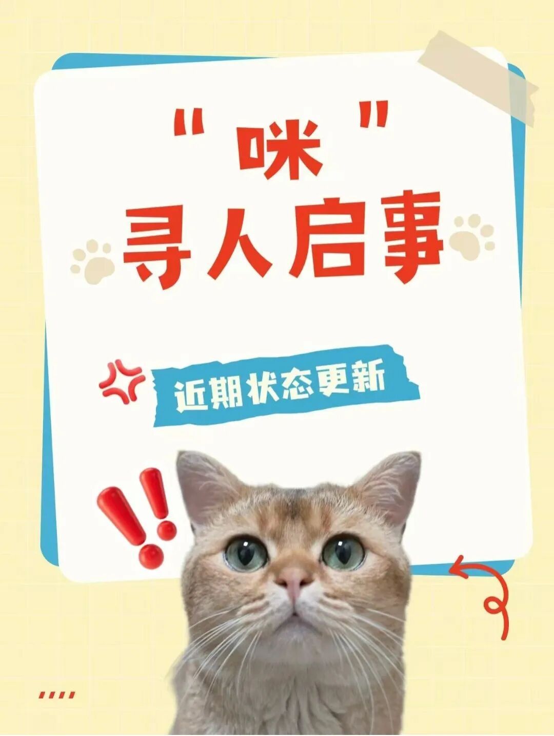 猫咪溜进深圳地铁！车站正紧急寻找主人