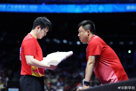 樊振东全运会金牌