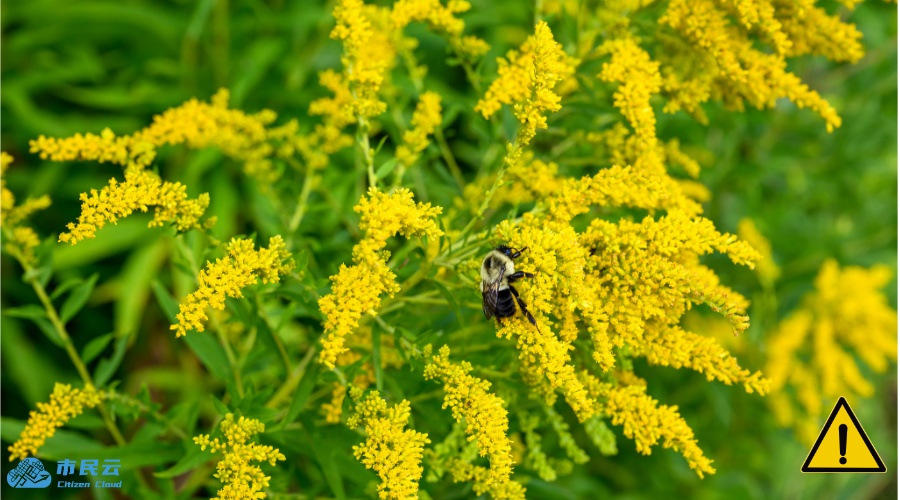 上海多区出现!紧急提醒:看到立即上报 上海多区出现!紧急提醒:看到立即上报