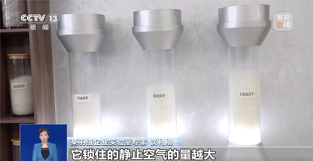 300元到底能不能买一件真羽绒服？