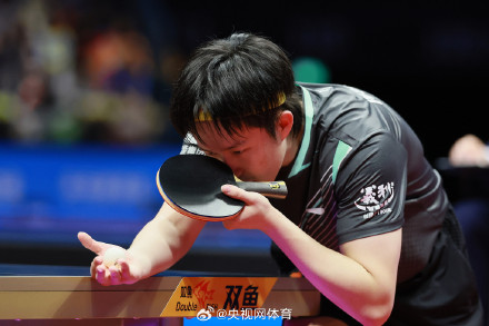 王楚钦4比1袁励岑