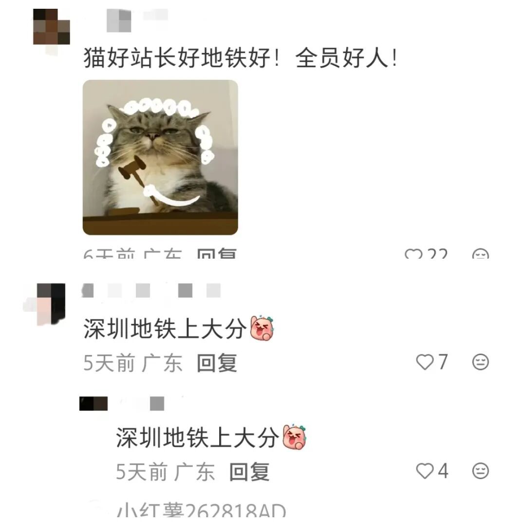 猫咪溜进深圳地铁！车站正紧急寻找主人