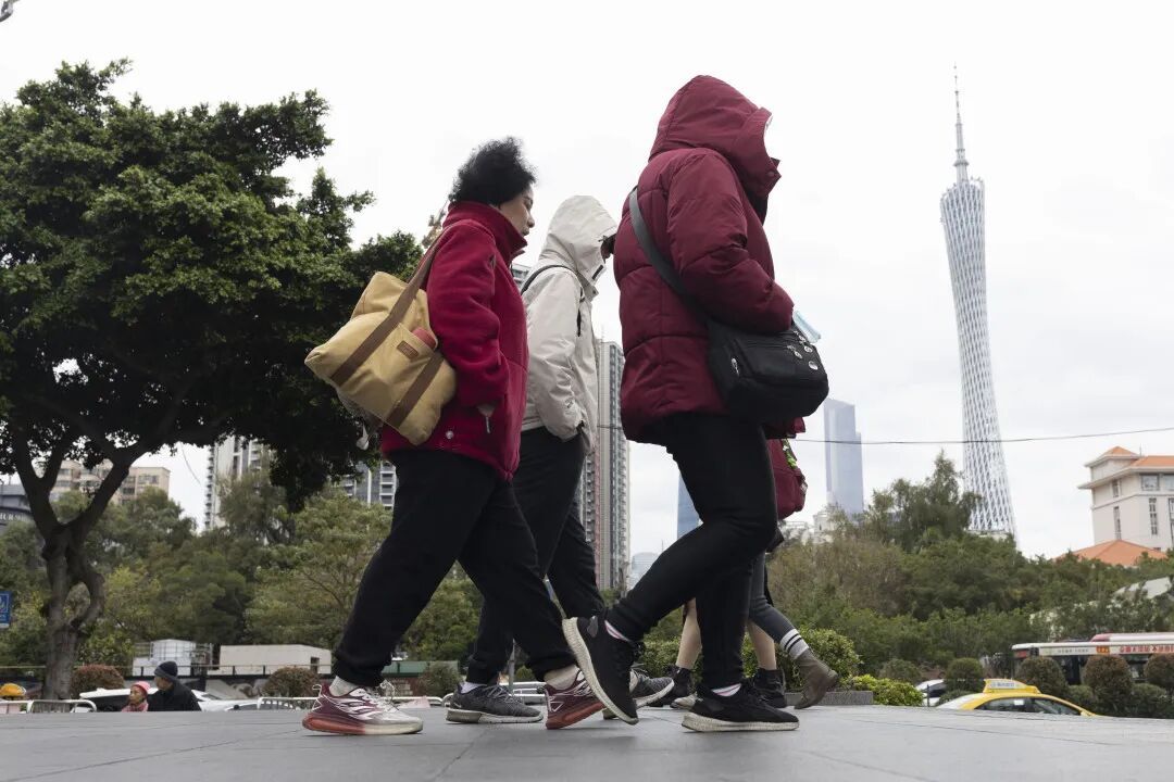 湿冷预警！广东最低仅6℃