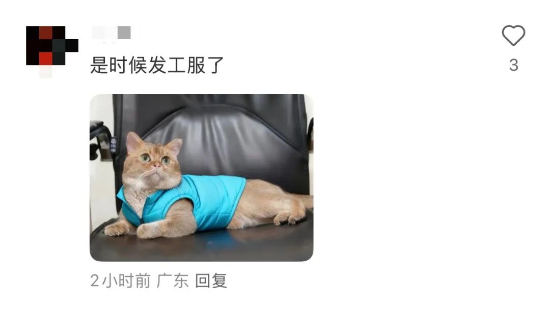 猫咪溜进深圳地铁！车站正紧急寻找主人