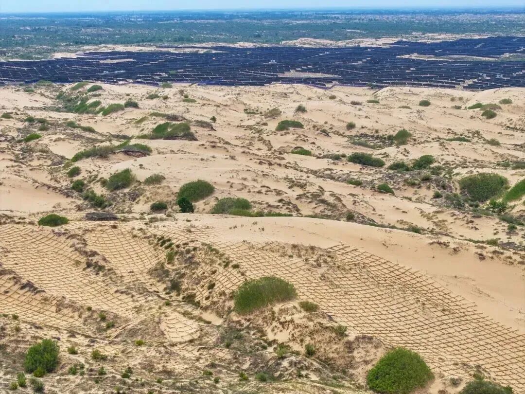 14岁少年发明“干旱地区树木自动浇水装置”，斩获全球金奖！灵感源于观察母亲做饭