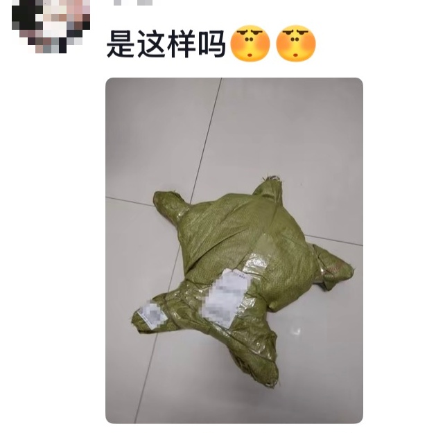 “爸妈笑了半小时才舍得寄过来……” “爸妈笑了半小时才舍得寄过来……”