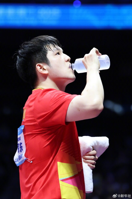 樊振东全运会金牌