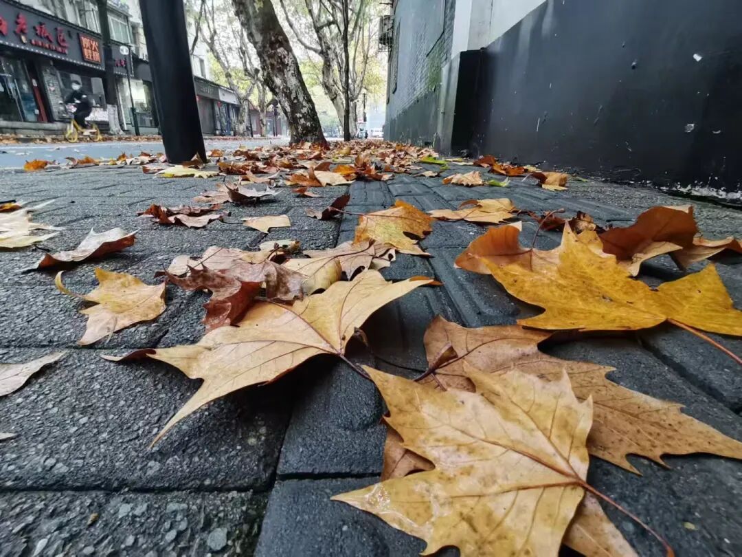 暴降15℃！杭州今起大转折，前往山区早点返程，可能会下雪