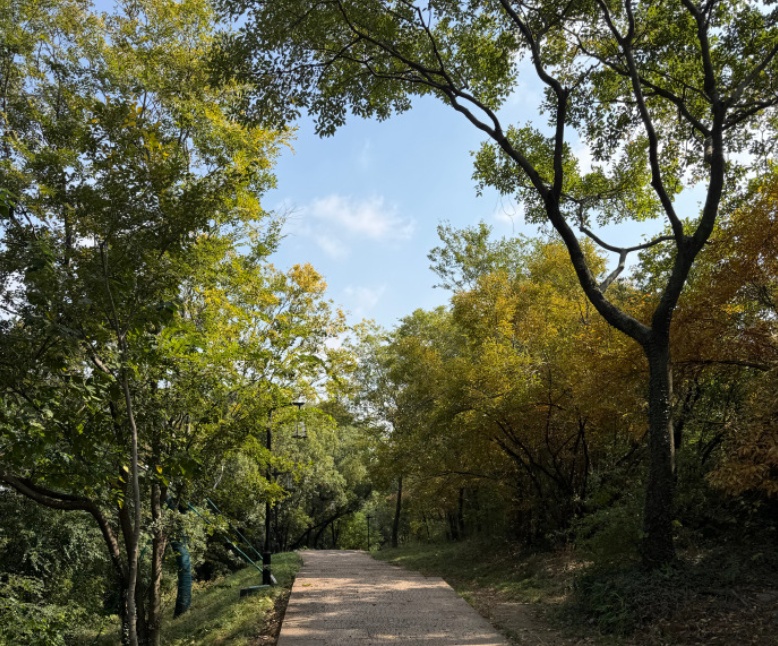暴降15℃！杭州今起大转折，前往山区早点返程，可能会下雪