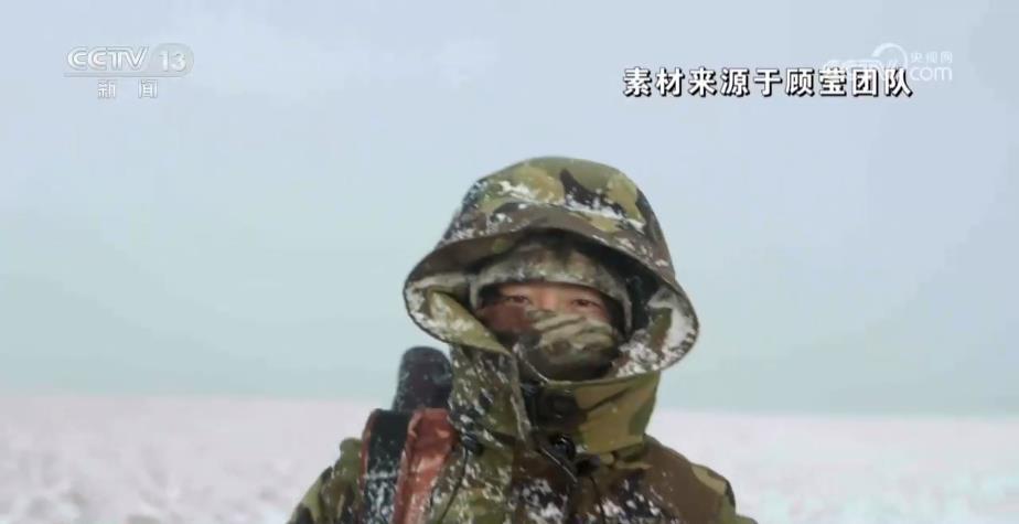 跟拍十年 她用上万小时影像记录藏羚羊的“生死迁徙” 跟拍十年 她用上万小时影像记录藏羚羊的“生死迁徙”
