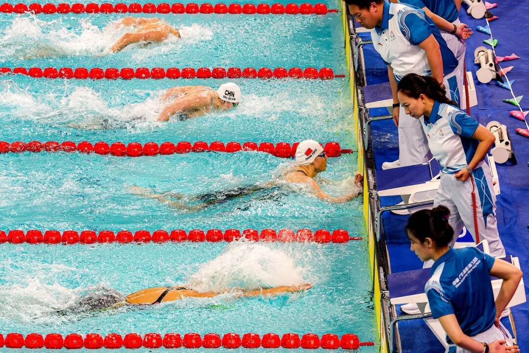 全运会游泳赛场群星扎堆 “神仙打架”背后的江湖与传承