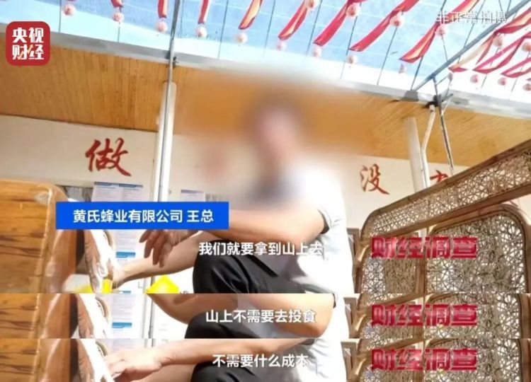 “杀人蜂”竟遭滥养！有人赚得盆满钵满