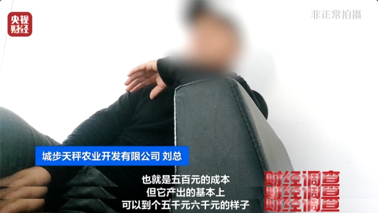 “杀人蜂”竟遭滥养！有人赚得盆满钵满