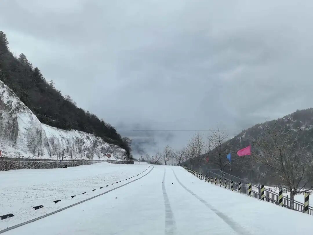 寒潮来袭！四川这些地方下！雪！了！