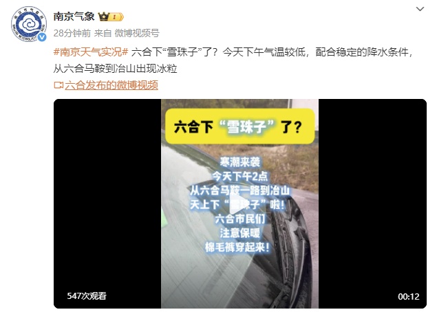 报!南京下“雪珠子”啦! 报!南京下“雪珠子”啦!