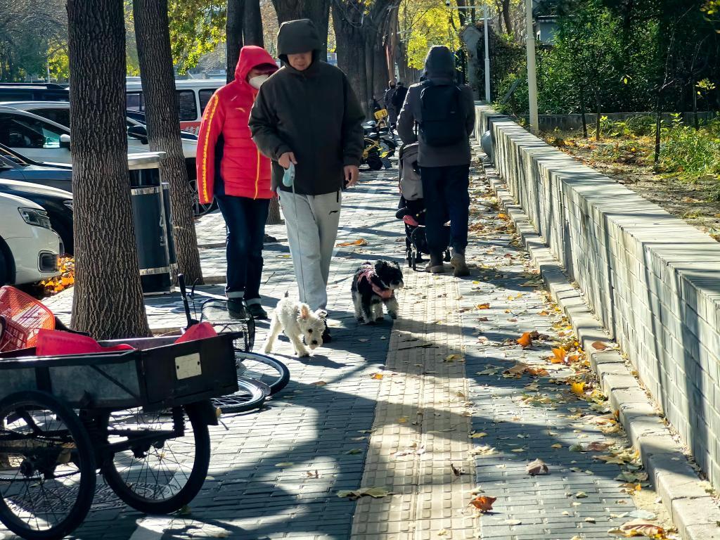 寒潮来袭、大风呼啸,如何应对? 寒潮来袭、大风呼啸,如何应对?
