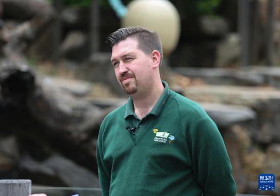 探访旅居澳大利亚的大熊猫“星秋”“怡兰” 探访旅居澳大利亚的大熊猫“星秋”“怡兰”