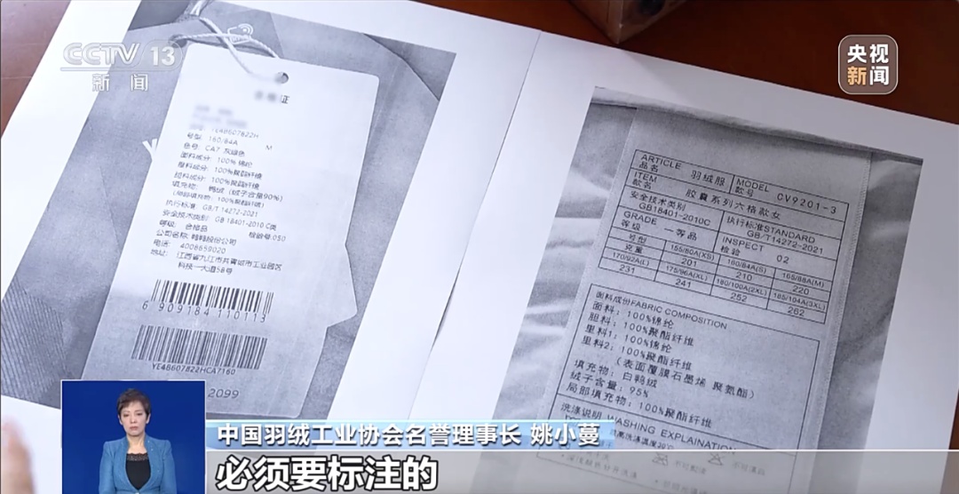 300元买不到一件真羽绒服？来看专家怎么说