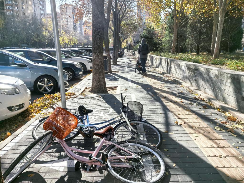 寒潮来袭、大风呼啸,如何应对? 寒潮来袭、大风呼啸,如何应对?