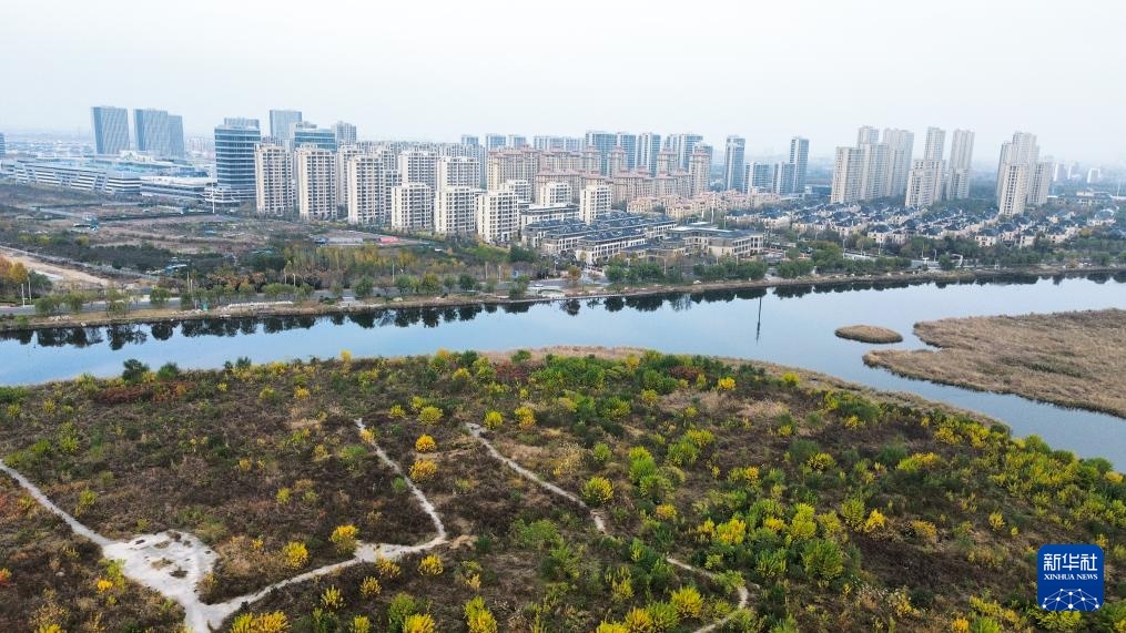 中国之城丨山东东营：河海交汇的湿地之城