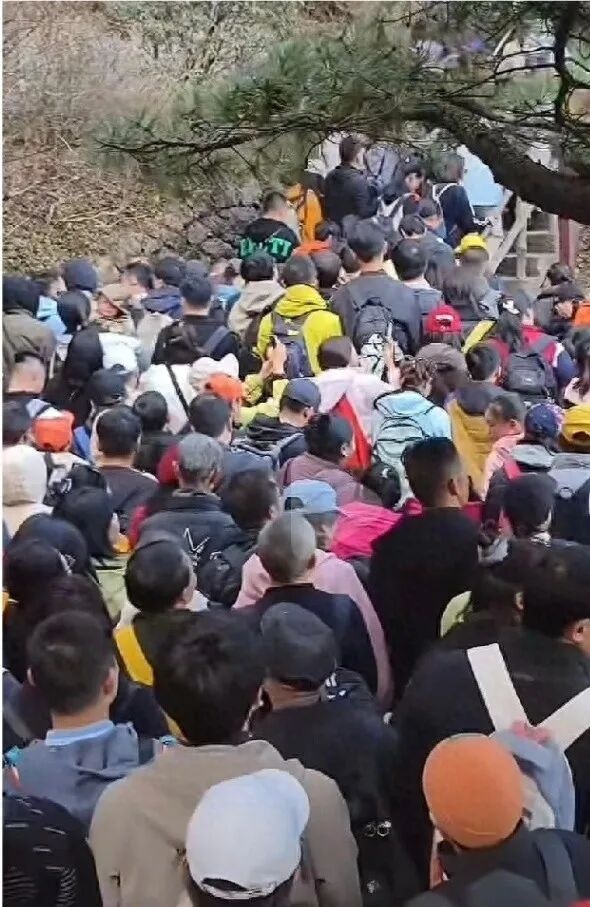 约满、售罄！第一波秋假大军出现了！“人从众”堪比黄金周