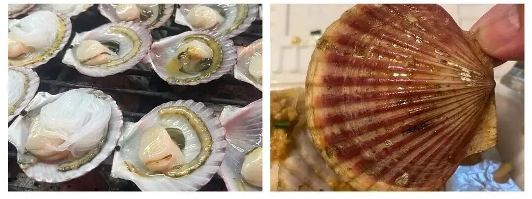 “4分钱的壳配3毛钱的肉”！…网友：天塌了