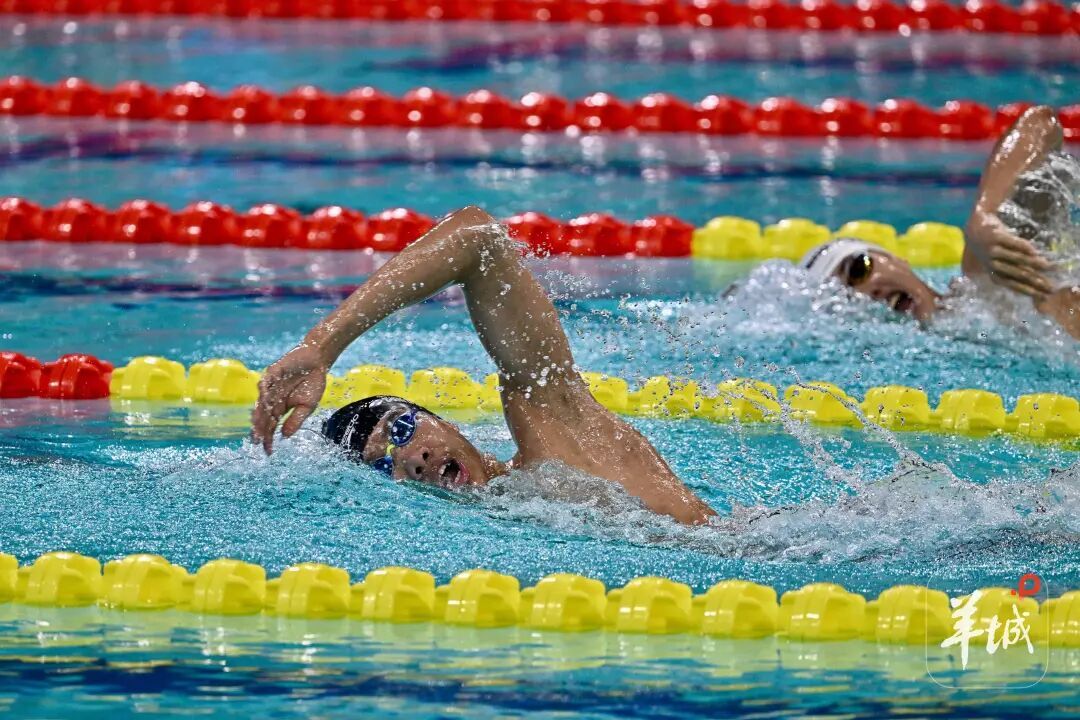 第5金！张展硕全运会1500米自由泳夺冠