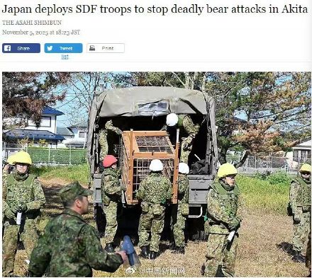 日本一个月88人遭熊袭击