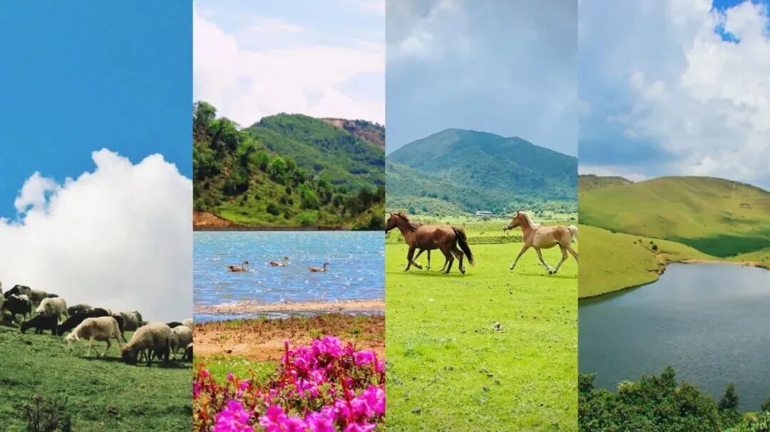 官方明确：鸟吊山，禁止游客进入