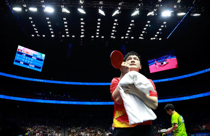 樊振东：469天后，王者归来