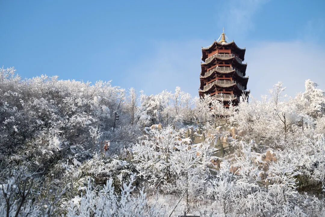 寒潮来袭！四川这些地方下！雪！了！