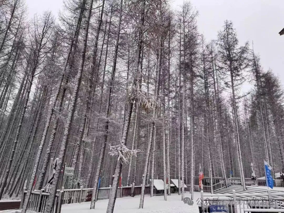 寒潮来袭！四川这些地方下！雪！了！