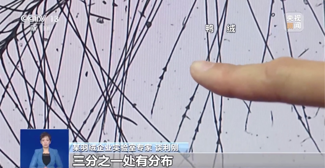 “过冬搭子”羽绒服怎么选？