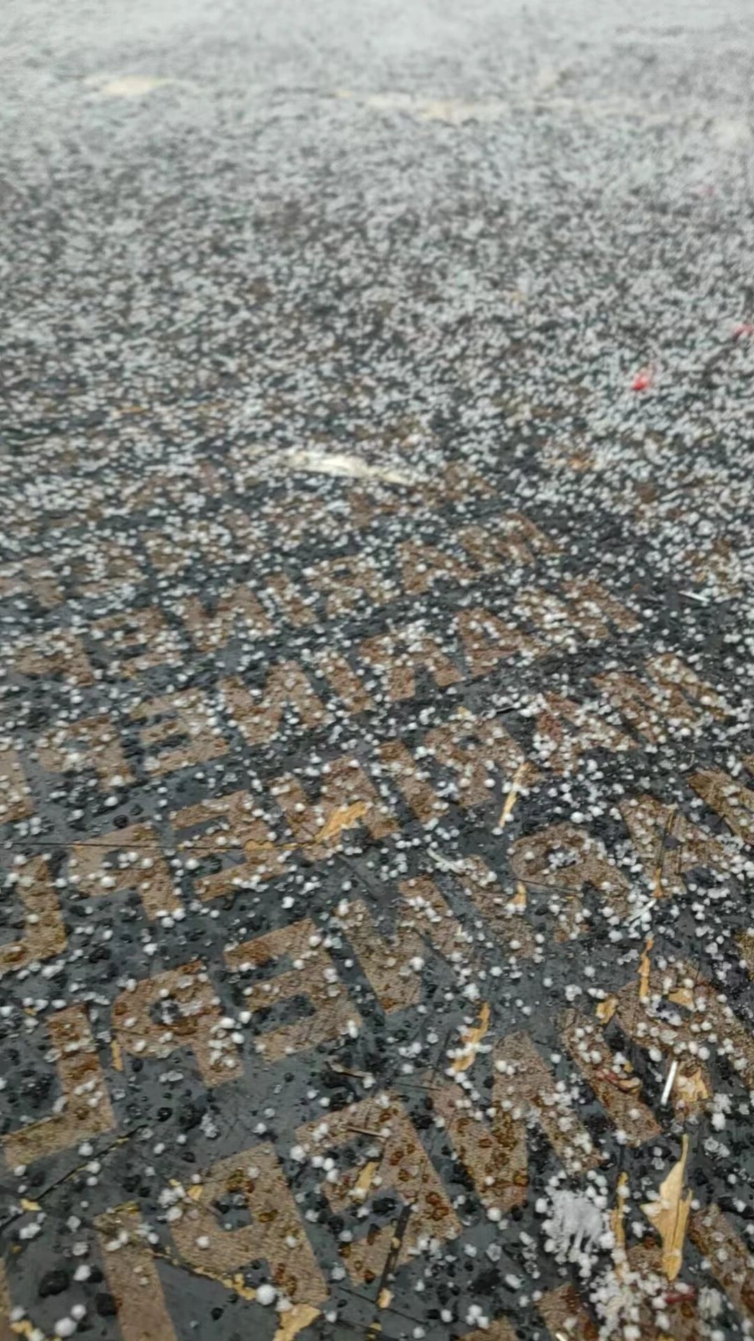 江苏多地迎来初雪！部分地区有望今日入冬