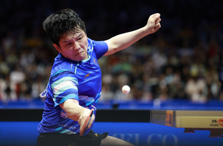 樊振东：469天后，王者归来