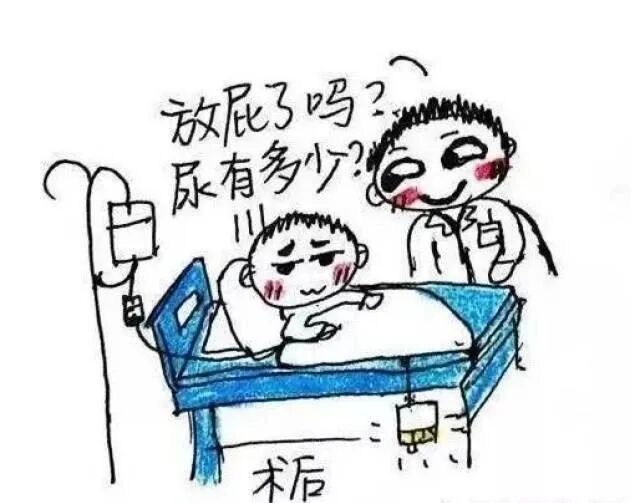 手术之后，医生为什么总问有没有放屁？