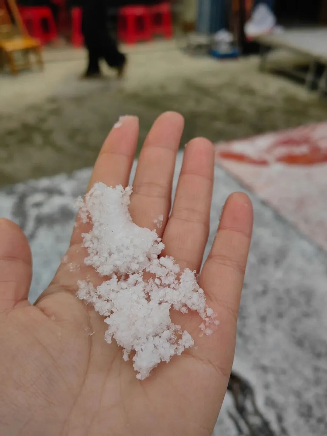 江苏多地迎来初雪！部分地区有望今日入冬